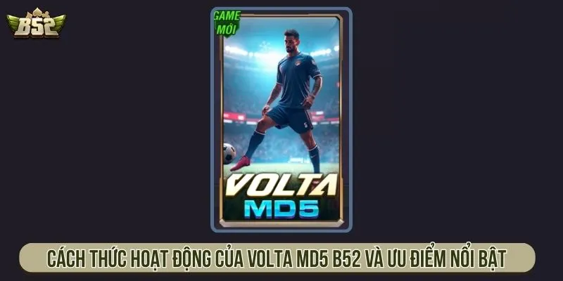 Cách Thức Hoạt Động Của Volta MD5 B52 Và Ưu Điểm Nổi Bật Volta MD5 B52